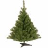National Tree Kincaid Spruce Christmas Tree - Green 1