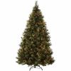 National Tree Carolina Pine Christmas Tree - Green 5
