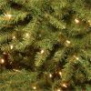 National Tree Dunhill Fir Christmas Tree - Green 3