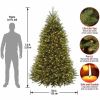National Tree Dunhill Fir Christmas Tree - Green 5