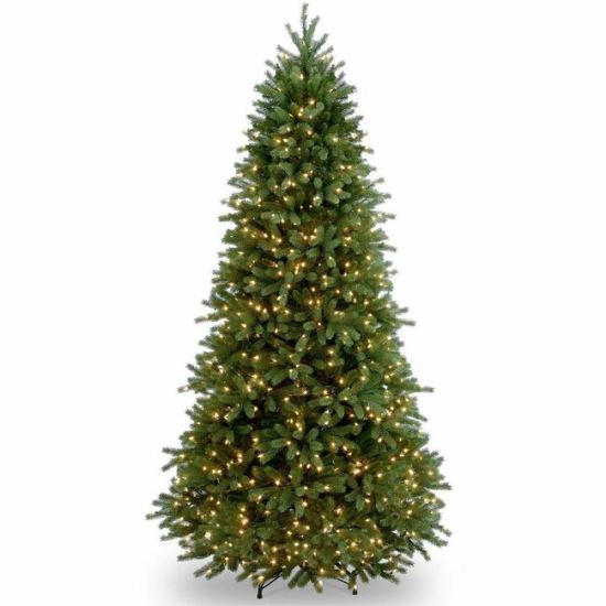 National Tree Jersey Fraser Fir Christmas Tree - Green 1
