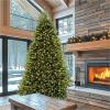National Tree Dunhill Fir Christmas Tree - Green 2