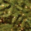 National Tree Dunhill Fir Christmas Tree - Green 3