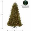 National Tree Dunhill Fir Christmas Tree - Green 8