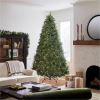 National Tree Dunhill Fir Christmas Tree - Green 9