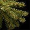 National Tree Dunhill Fir Christmas Tree - Green 10