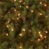 National Tree Dunhill Fir Christmas Tree - Green 11