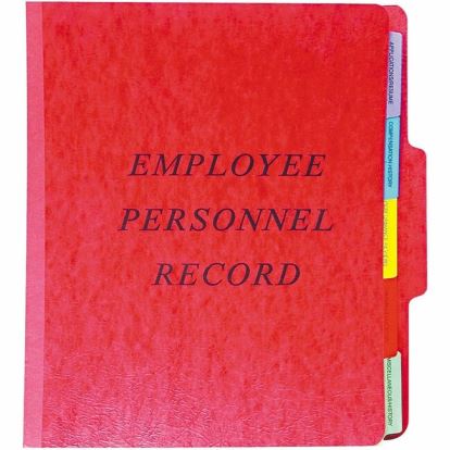 Pendaflex 1/3 Tab Cut Letter Recycled Organizer Folder 1