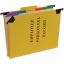 Pendaflex 1/3 Tab Cut Hanging Folder 1