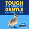 Dawn Ultra Dish Liquid Soap 8