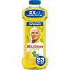 Mr. Clean Multi-Surface Cleaner 2