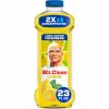 Mr. Clean Multi-Surface Cleaner 2