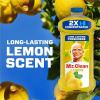 Mr. Clean Multi-Surface Cleaner 5