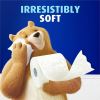 Charmin Bathroom Tissue 10