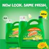 Gain Original Laundry Detergent 5