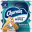 Charmin Flushable Wet Wipes 1