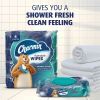 Charmin Flushable Wet Wipes 3