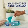 Charmin Flushable Wet Wipes 4