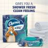 Charmin Flushable Wet Wipes 7