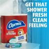 Charmin Flushable Wet Wipes 9