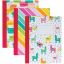 Pukka Pads 3 Pack Composition Books 1
