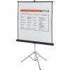 Quartet Manual Projection Screen 1