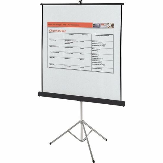 Quartet Manual Projection Screen 1