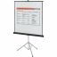 Quartet Manual Projection Screen 1