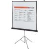 Quartet Manual Projection Screen 2