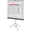 Quartet Manual Projection Screen 3