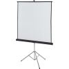 Quartet Manual Projection Screen 5