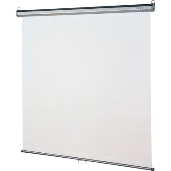 Quartet Manual Projection Screen 1