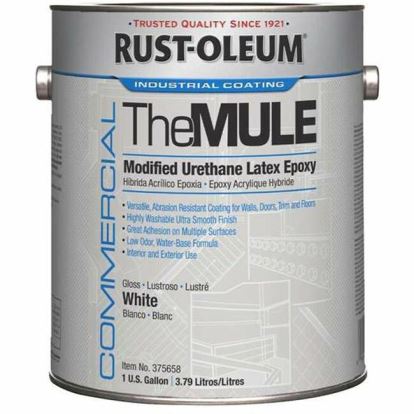 Rust-Oleum Modified Urethane Latex Epoxy (MULE) 1