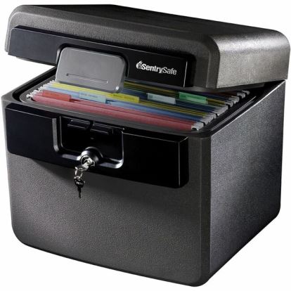 Sentry Safe HD4100 Fire/Water Safe 1