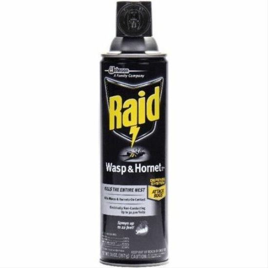Raid Wasp and Hornet Killer 33 1