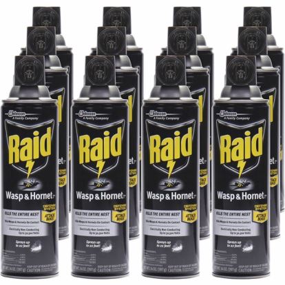 Raid Wasp and Hornet Killer 33 1