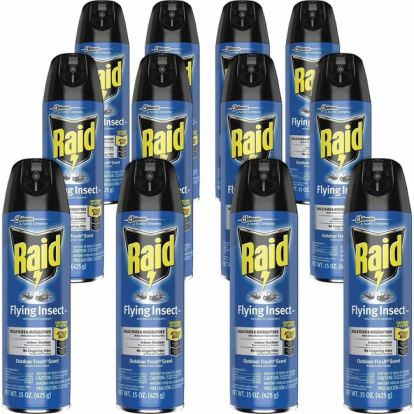 Raid Flying Insect Spray 1