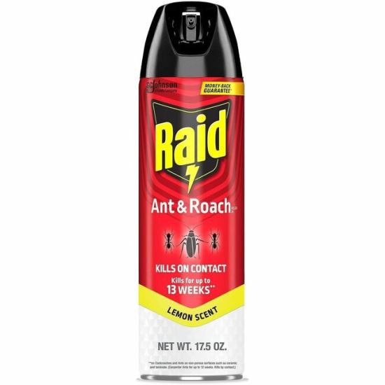 Raid Ant & Roach Killer Spray 1