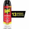 Raid Ant & Roach Killer Spray 3