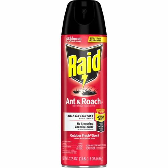 Raid Ant & Roach Killer Spray 1