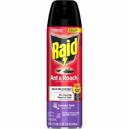 Raid Ant & Roach Killer Spray 1