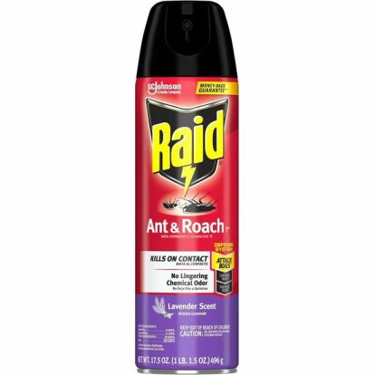 Raid Ant & Roach Killer Spray 1