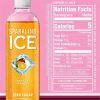 Talking Rain Sparkling ICE Purple-Variety Flavor Sparkling Water 3