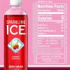 Talking Rain Sparkling ICE Purple-Variety Flavor Sparkling Water 4
