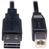 Tripp Lite series Universal Reversible USB 2.0 A-Male to B-Male Device Cable - 6ft 1
