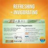 Twinings Pure Peppermint Tea Herbal Tea 2