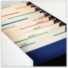 Universal 1/3 Tab Cut Letter Top Tab File Folder 4