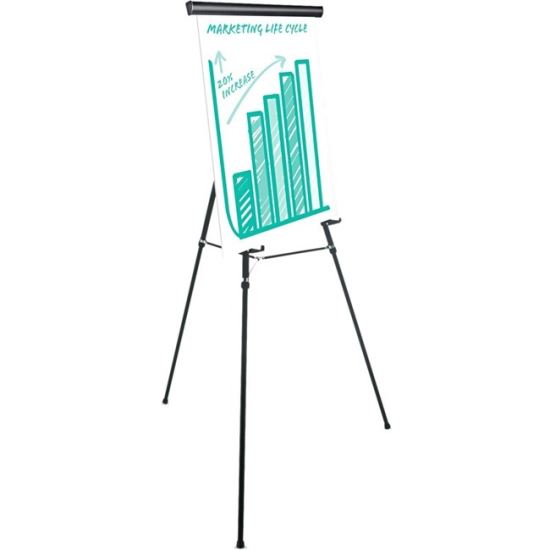 Universal Presentation Easel 1