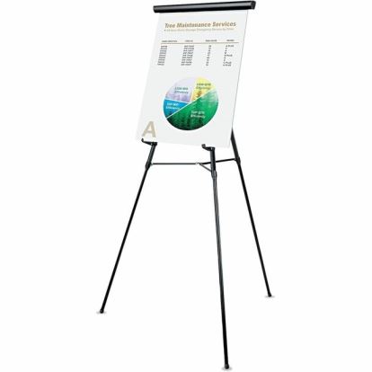 Universal Presentation Easel 1