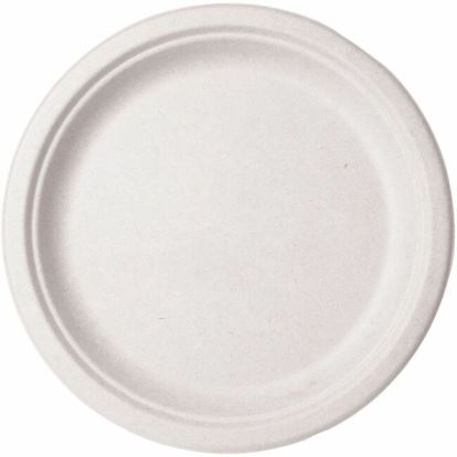 Vegware Sugarcane Plates 1